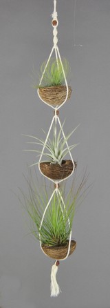 APOTRIO_Andreana-Secunda-Singapor Sling.JPG