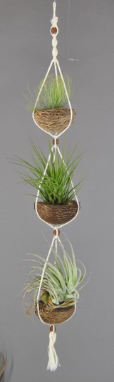 APOTRIO_Andréana-Tricolor-Singapor Sling.JPG